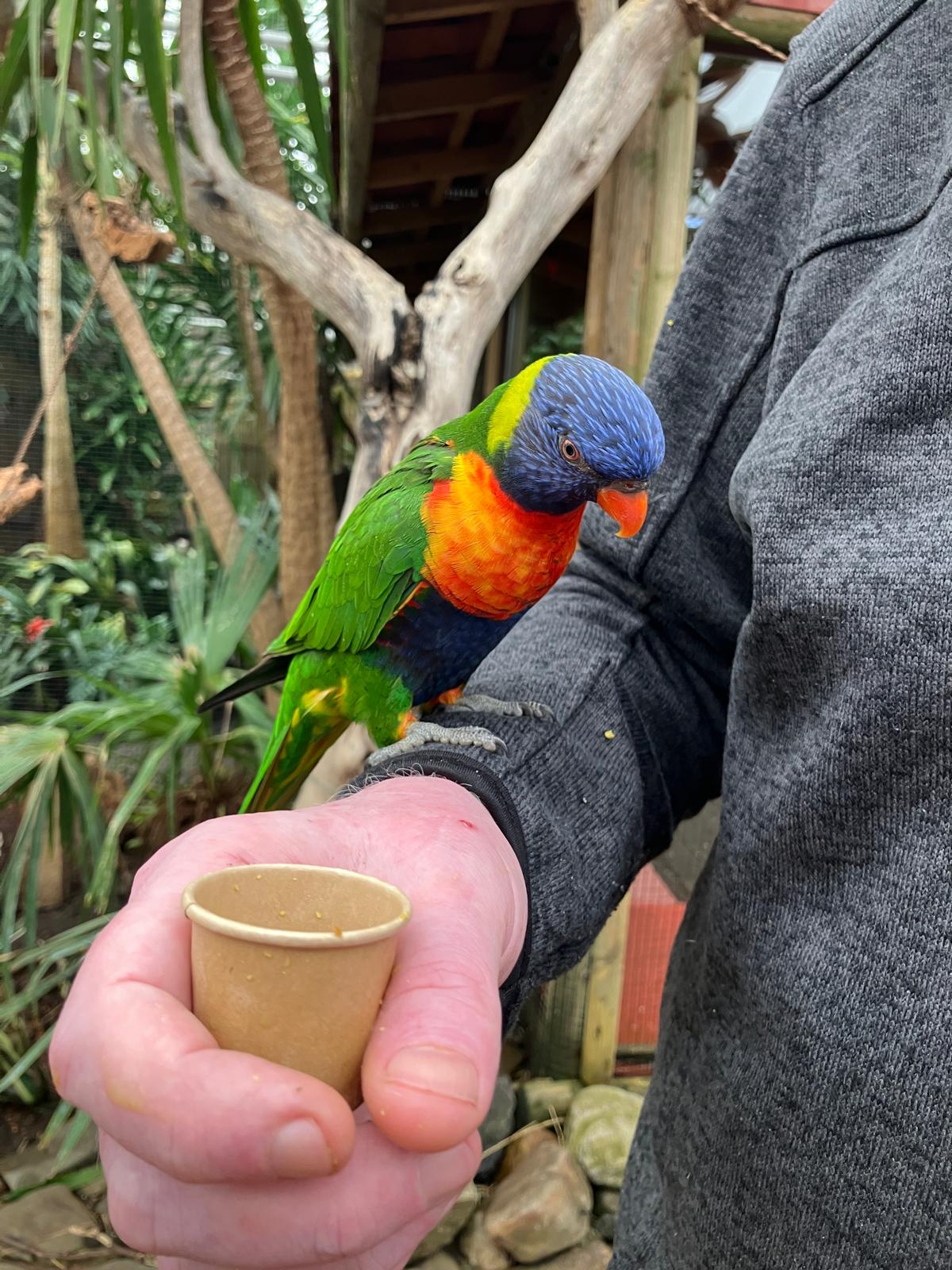 Foto 45 bij artikel "Uitje naar de Orchideenhoeve in Luttelgeest".